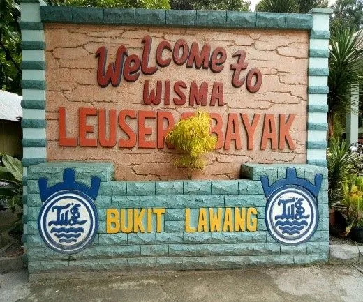 Bukit Lawang 2