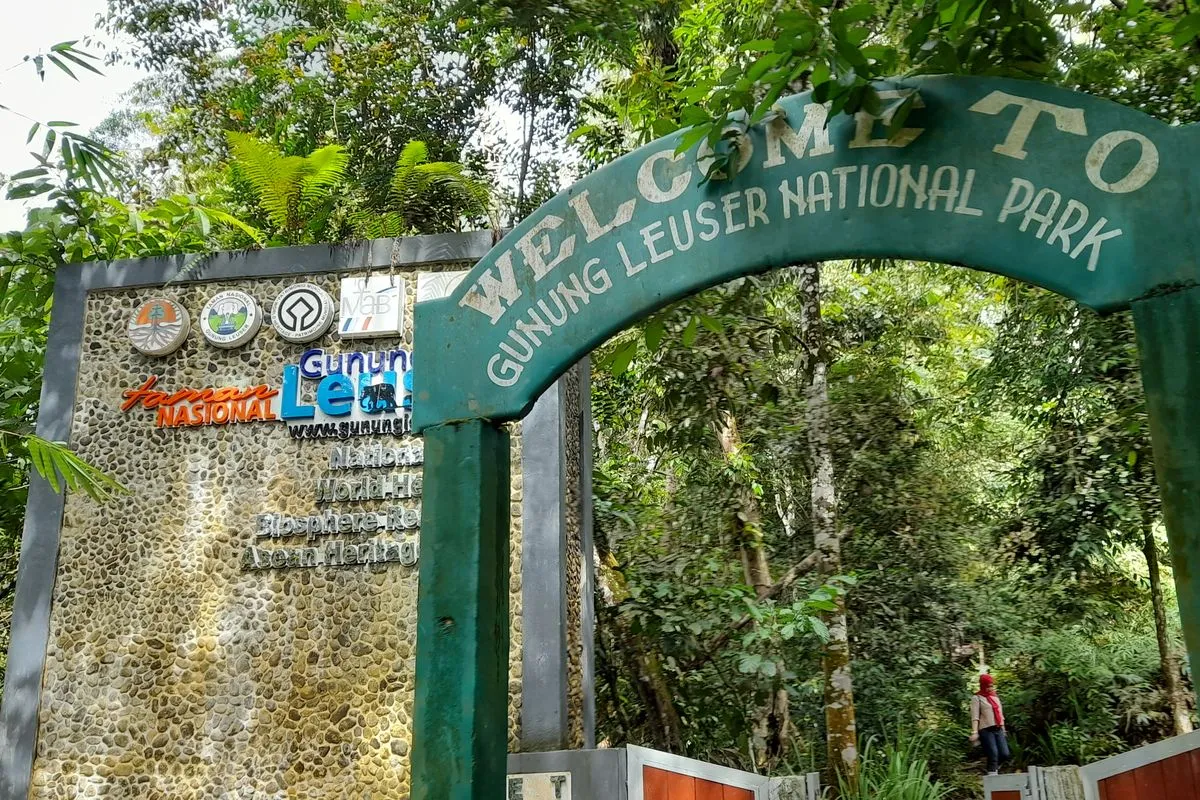 Bukit Lawang